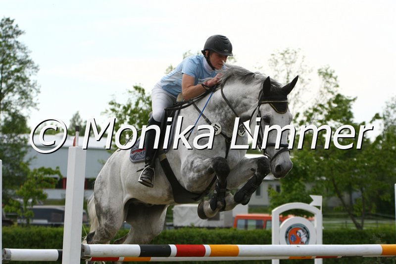 204M6582__Spring Mx.JPG